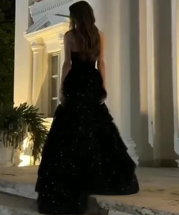 Multi-layer Shiny Elegant Dresses,Luxury Party Dress,Black Prom Dress - View 3 | FashionDia