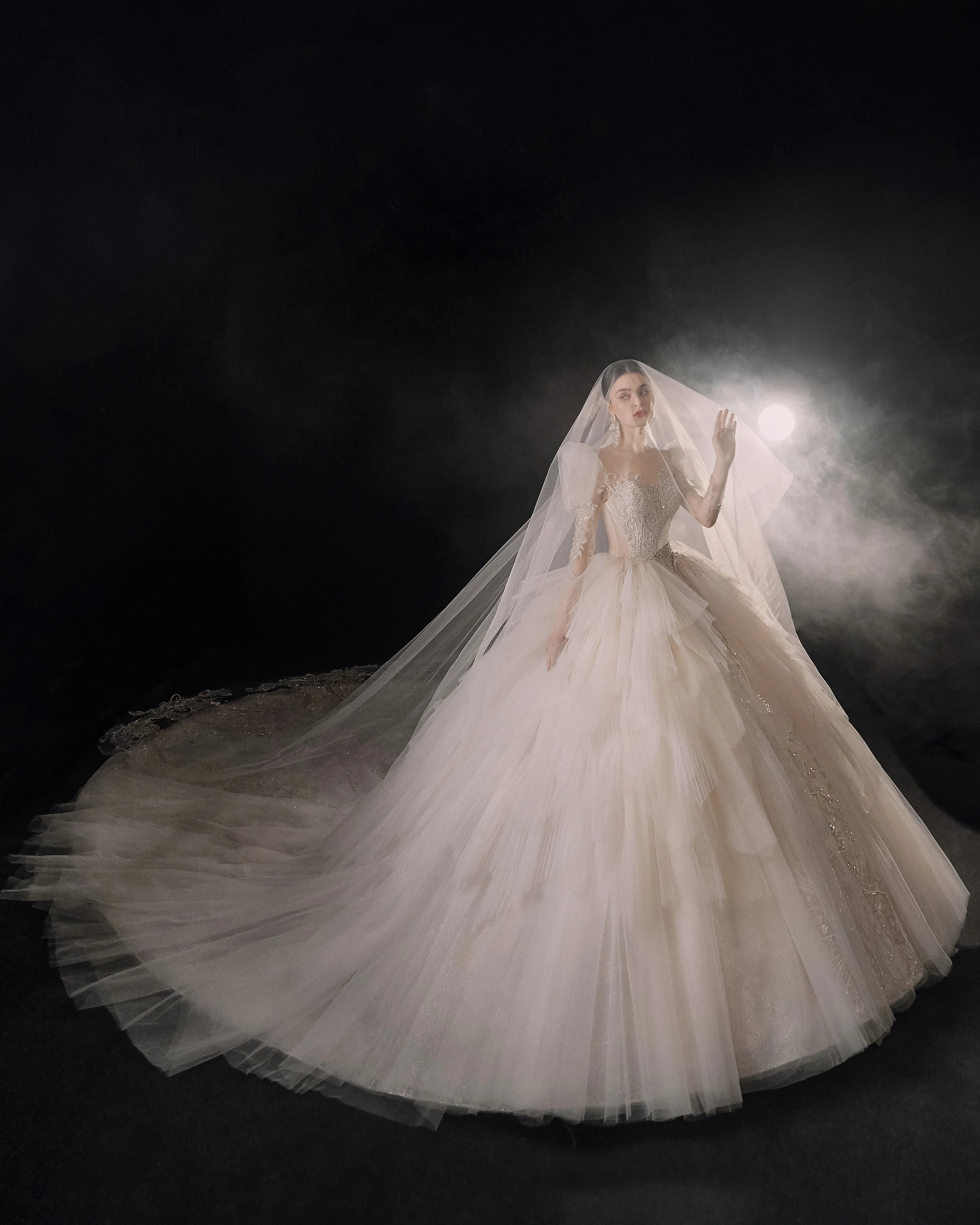 Magnificent Off-the-Shoulder Ball Gown Sweetheart Neckline Tulle Puff Sleeve Beaded Lace Long-Sleeve Wedding Dress with Layered Train E-301 (ZD16886)