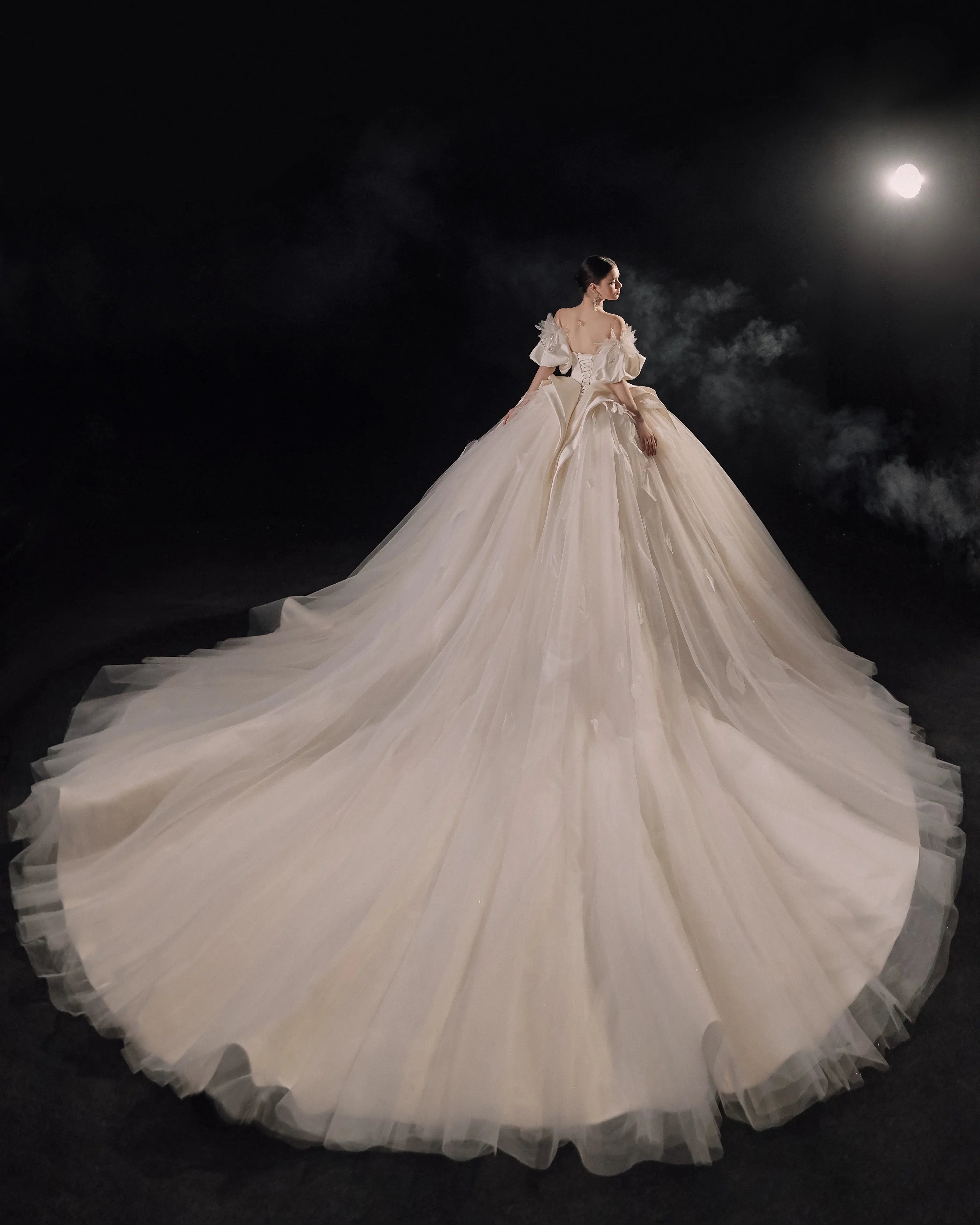 Lavish Sweetheart Ball Gown Satin Puff Sleeve Feather Trim Beaded Wedding Dress with Flowing Train E-302 (ZD16889)