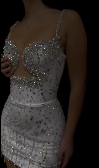 Sexy Beaded Short Prom Dress Birthday Party Dress Homecoming Dress - View 2 | FashionDia
