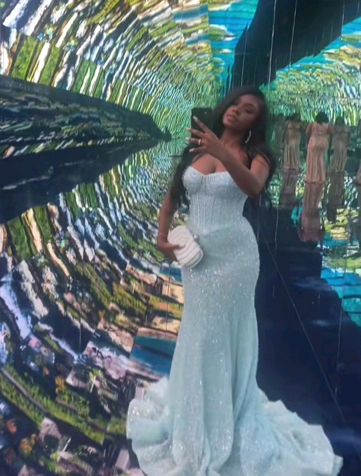 Light Blue Mermaid Long Prom Dresses Formal Evening Dress - VelvetHem
