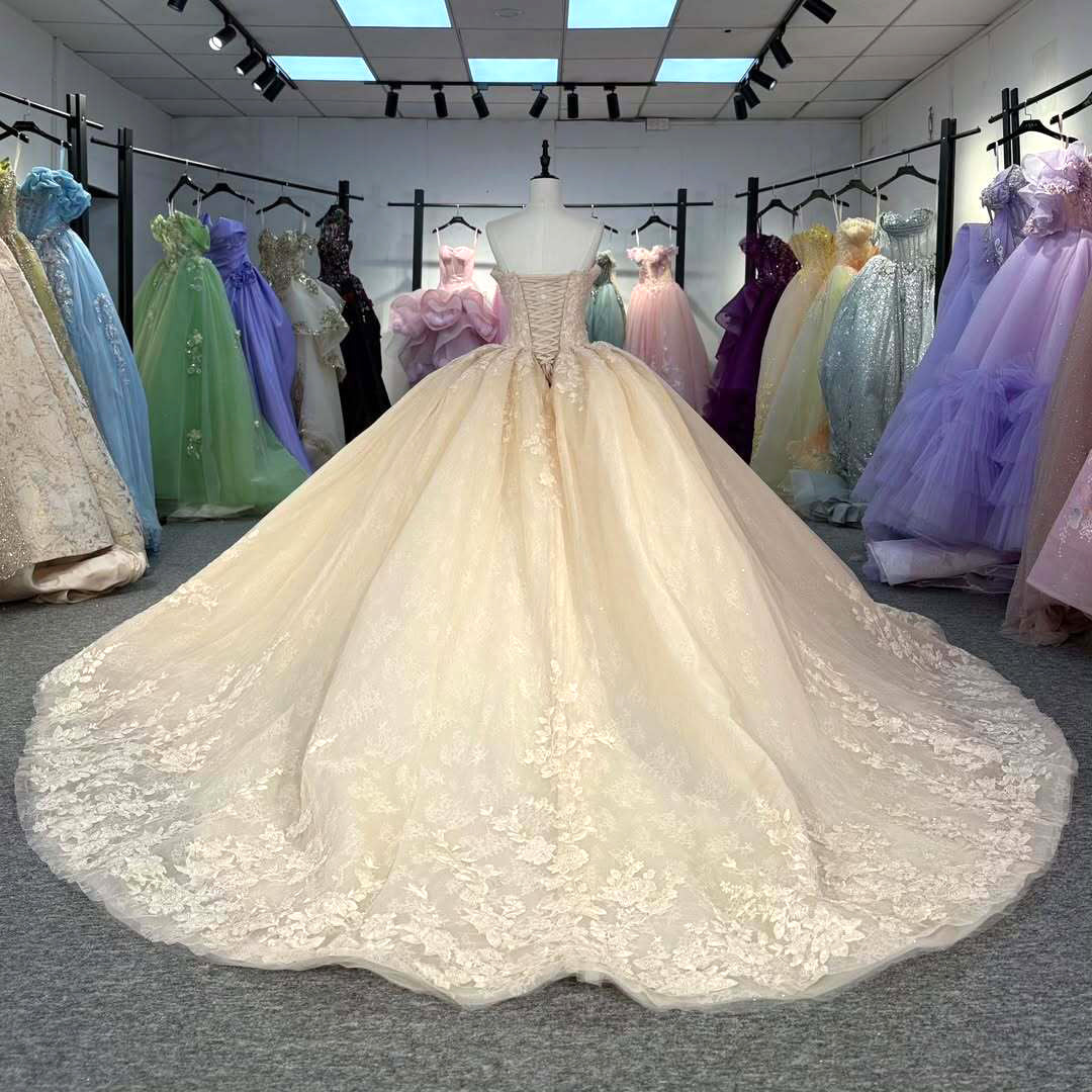 Gorgeous A-Line Sweetheart Champagne Quinceanera Dress with Appliques Criss Cross Up - View 6 | FashionDia