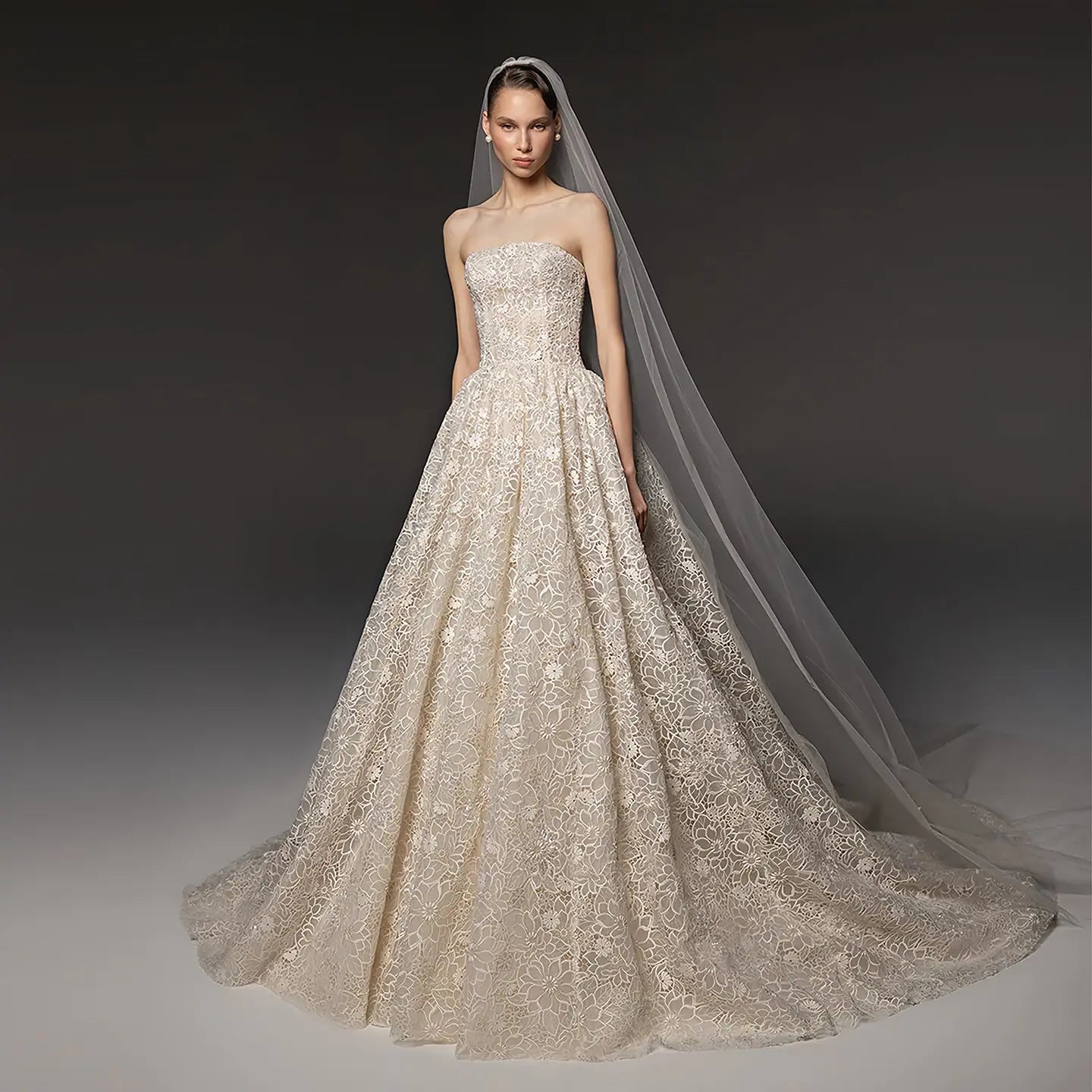 Regal Champagne Strapless Allover Lace Ball Gown Wedding Dress with Veil ZP081