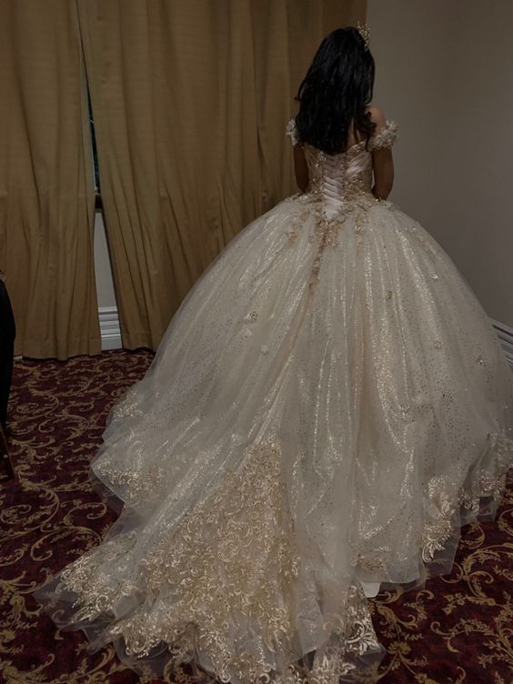 Glittering Quinceanera Dresses Lace Princess Dress Birthday Party Gowns Ball Gowns - FashionDia