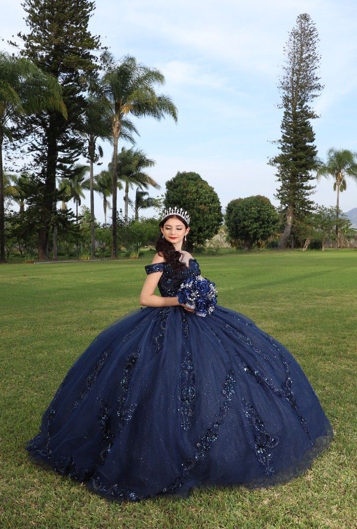 Navy Blue quincea�era dress Sweet 15 16 Prom Party Ball Gowns - FashionDia