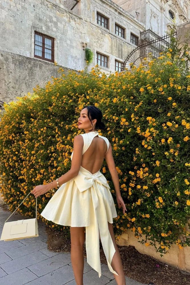 Sleeveless High-Waist Mini Dress Short Homecoming Party Dress - View 3 | FashionDia