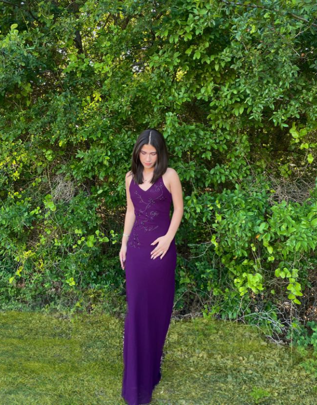 Spaghetti Straps V Neck Sheath Evening Dress Purple Party Dress