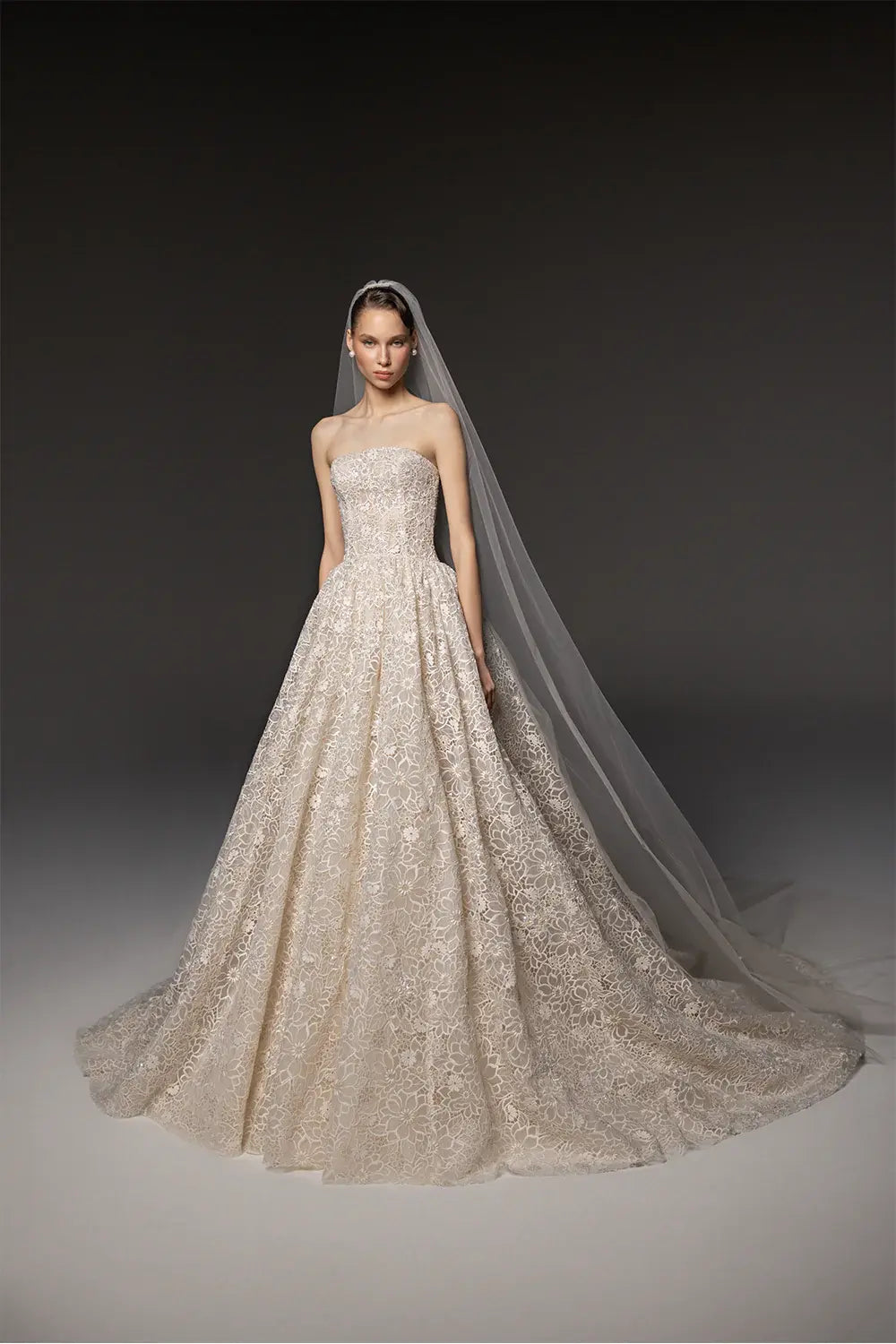 Regal Champagne Strapless Allover Lace Ball Gown Wedding Dress with Veil ZP081