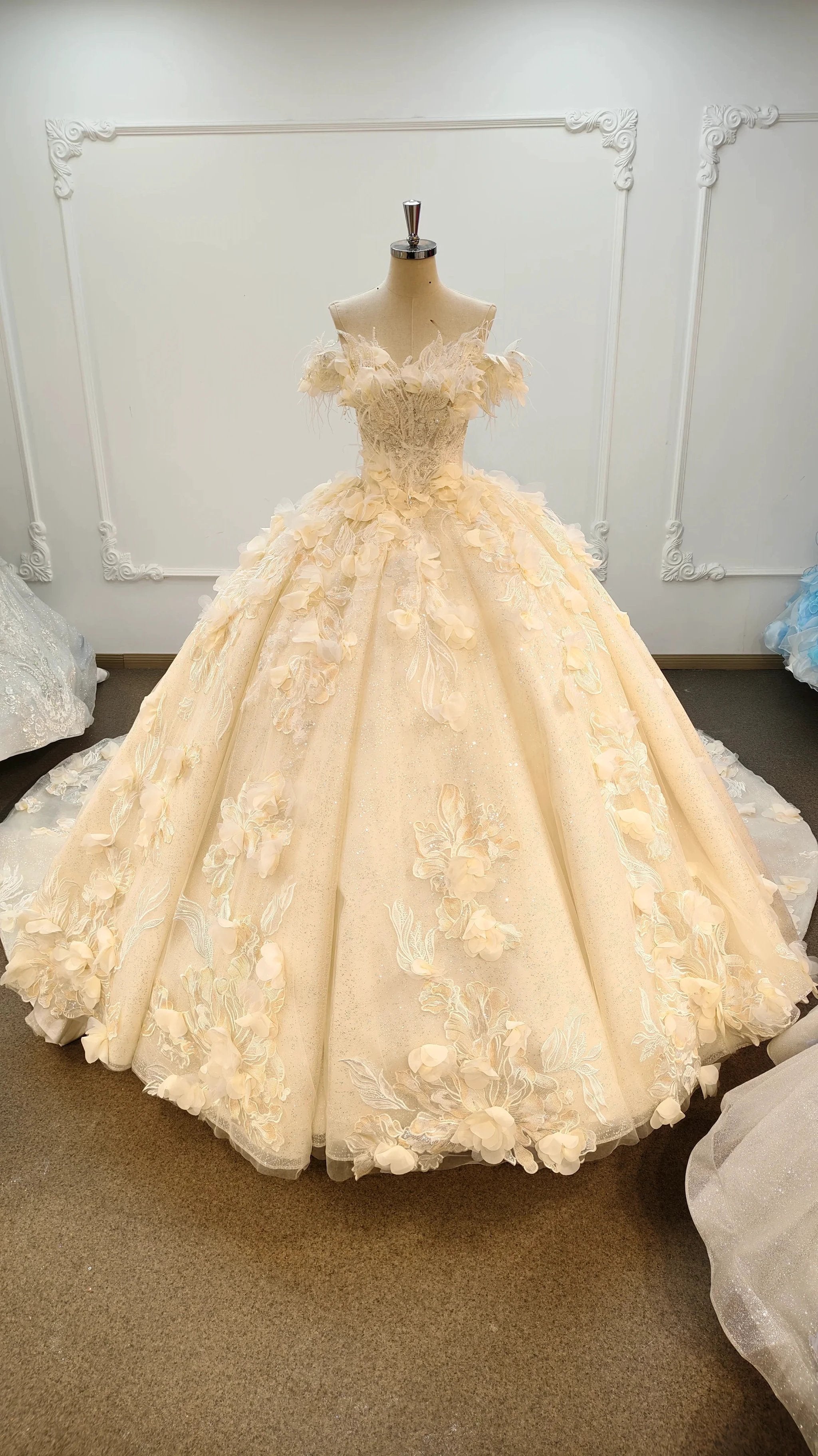 Ethereal Off-the-Shoulder Ball Gown Wedding Dress with 3D Floral Appliqués, Pearl Beading & Glitter Tulle Ye-2038 (ZD16830)
