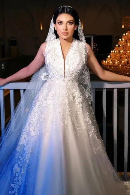 A-Line Charming V-Neck Sleeveless Tulle Floor-Length Wedding Dresses with Appliques (ZD15759)