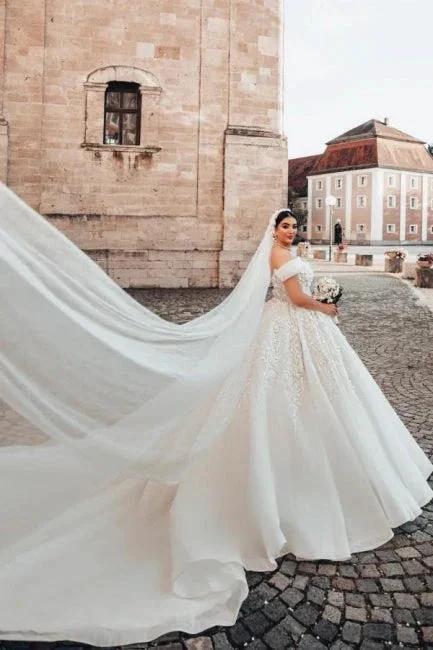 Beautiful Long A-Line Off-the-shoulder Sleeveless Wedding Dresses with Lace (ZD15634)