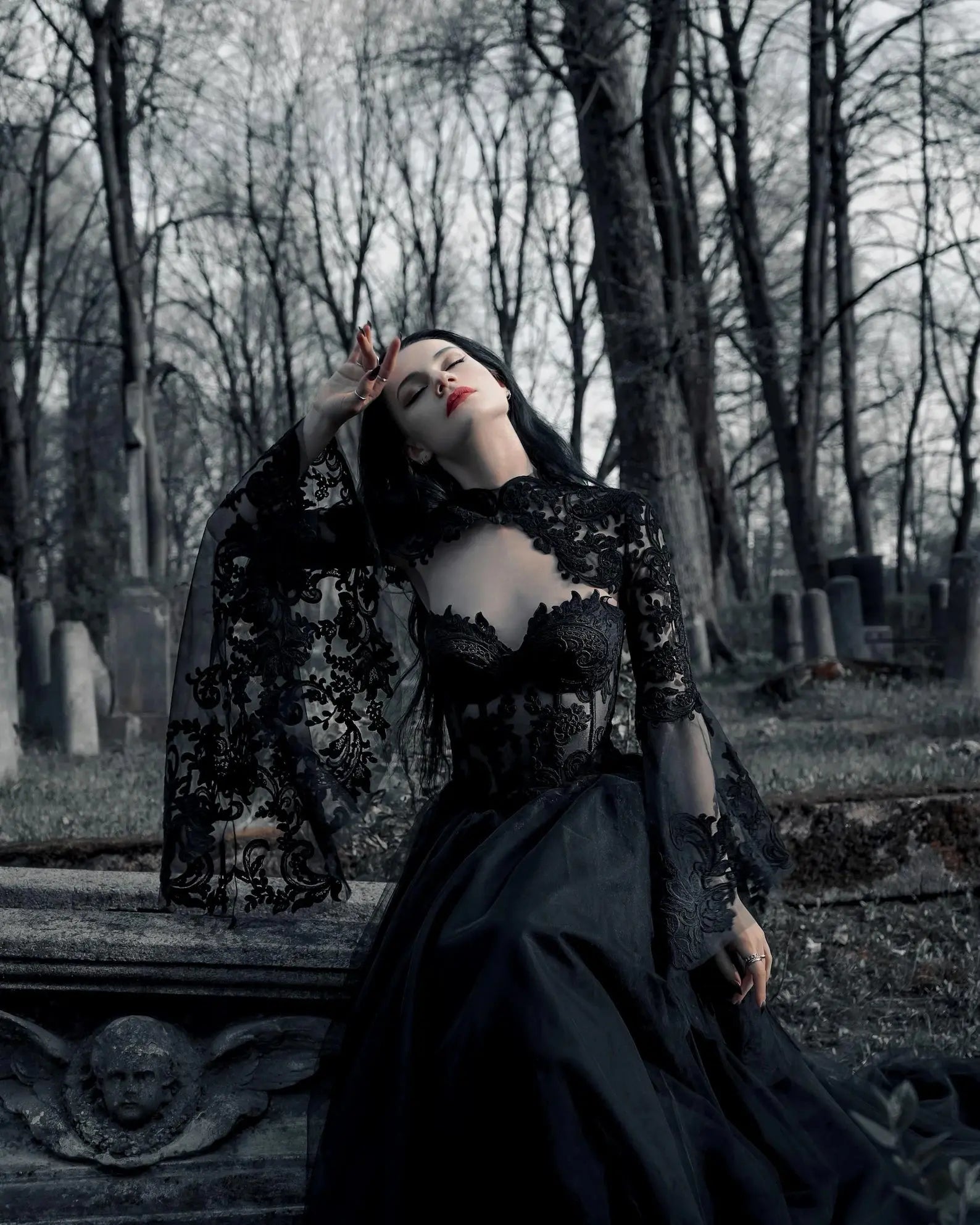 Black Luxury Gothic Wedding Dress Sheer Lace Ball Gown ZP029