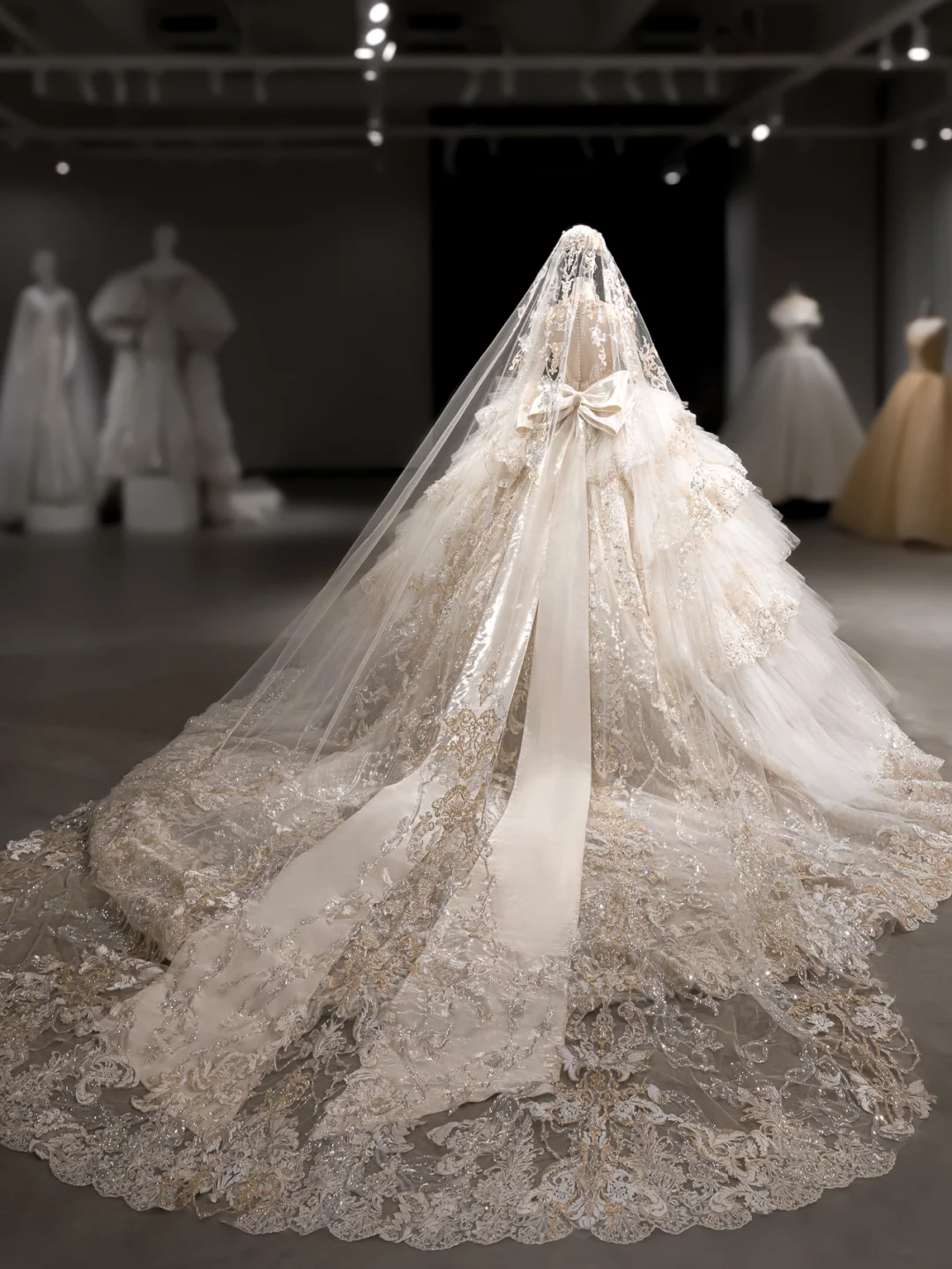 Luxurious Ball Gown Tulle Lace Sequin Beaded Long Sleeves With Veil Long Wedding Dresses - View 2 | FashionDia