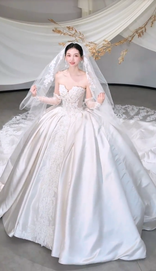 Timeless Ball Gown Starpless Satin Tulle Applique With Veil Long Wedding Dresses