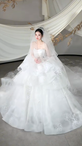Dreamy White Ball Gown Starpless Tulle Lace With Veil Long Wedding Dresses