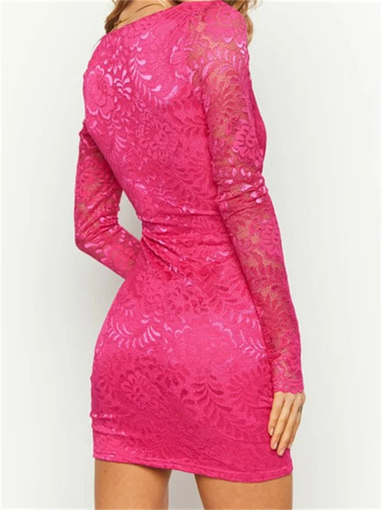 Pencil Lace Floral Deep VNeck Mini Dresses