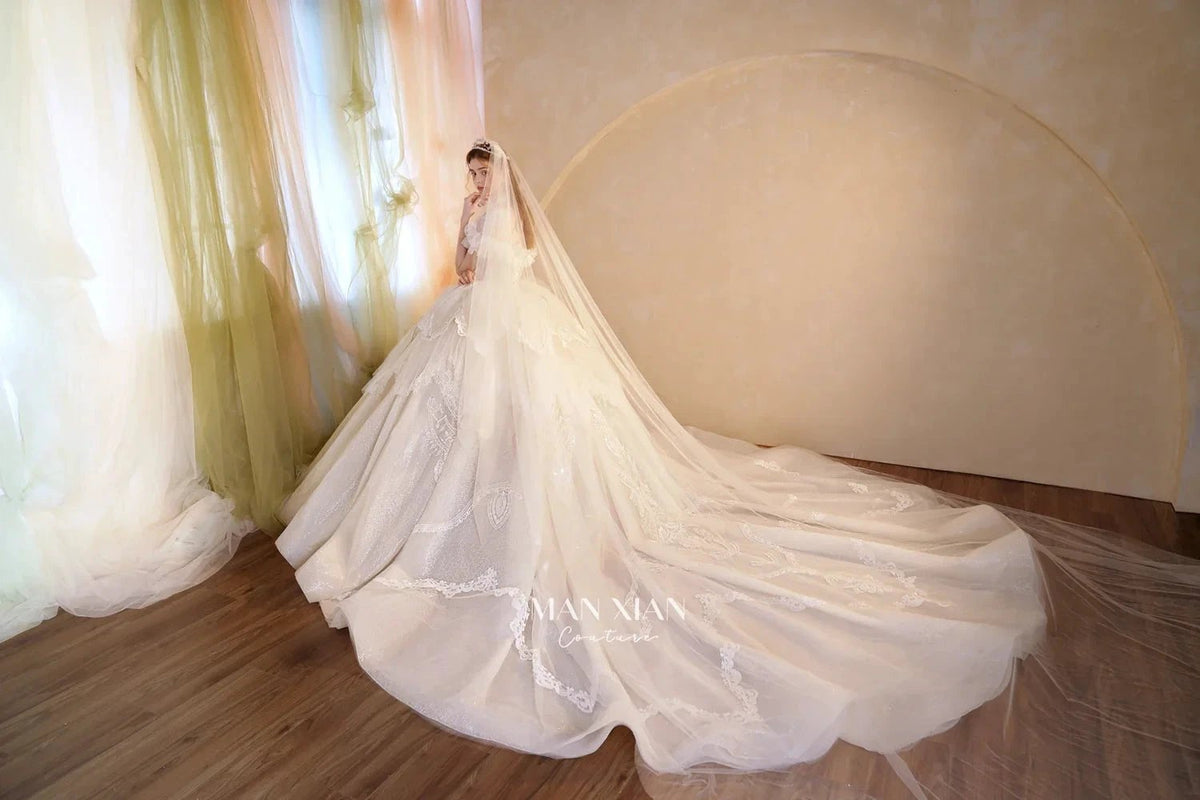 Luminous Ivory Sweetheart Glitter Tulle Ball Gown with Ruffled Sleeves, Pearl Embroidery & Lace Train (ZD16939) - View 12 | VelvetHem
