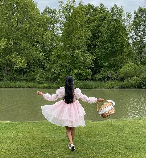 Retro Style Pink A-Line Puffy Homecoming Dress,Pink Birthday Party Dress - View 5 | FashionDia