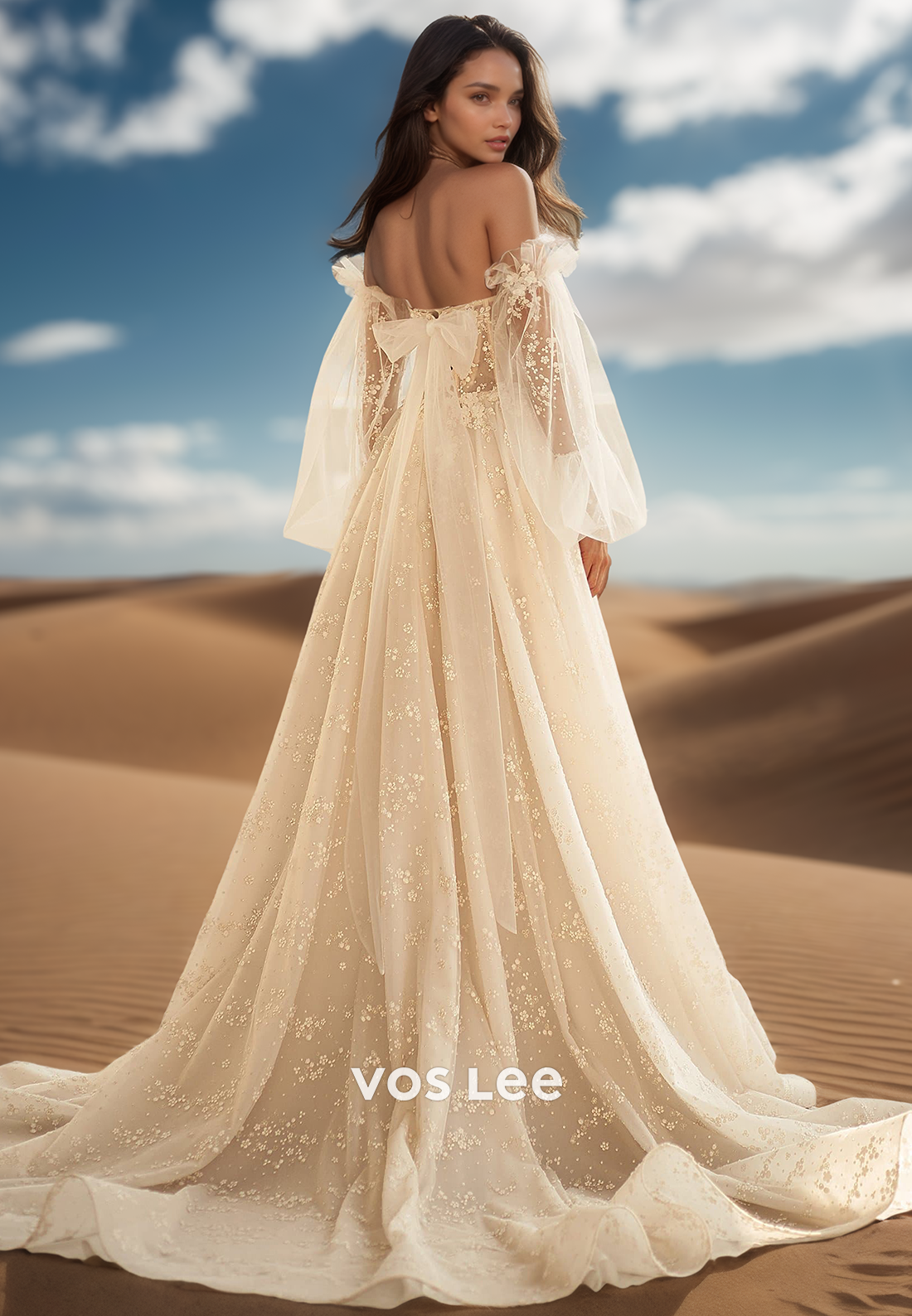 Long Sleeves Sweetheart Lace Appliques Wedding Dresses with Court Train