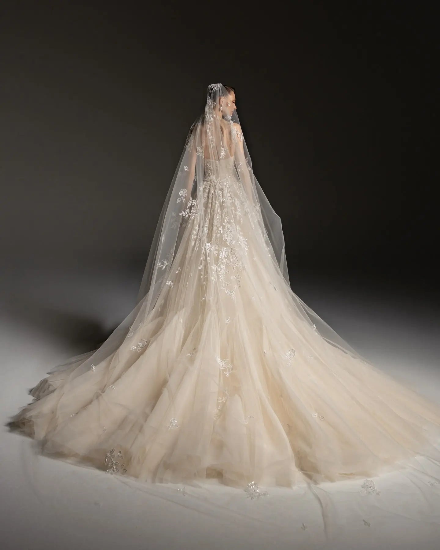 Romantic Champagne Strapless Floral Lace Tulle A-Line Wedding Dress with Veil ZP084