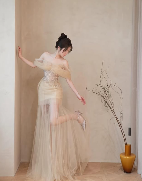 Simple Champagne Tulle Beaded Party Dress,Off The Shoulder A Line Prom Evening Dress