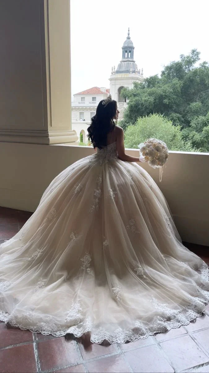 Stunning Lace Appliques Ball Gown Wedding Dresses Princess Dress (ZD13660)