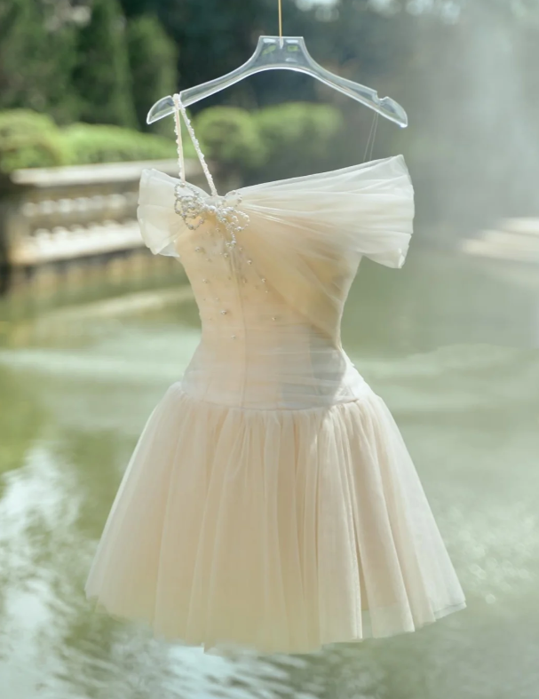 Simple Light Champagne Tulle A Line Homecoming Dress Short Birthday Dress