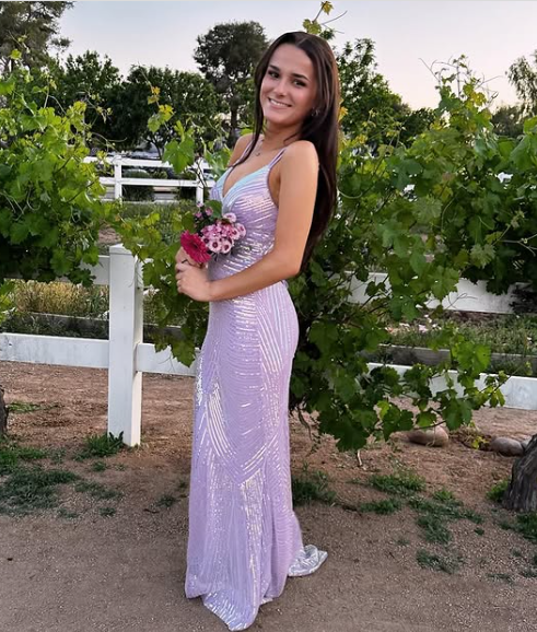 Luxury Lilac Spaghetti Straps Vneck Backless Evening Dress Mermaid Party Prom Dress - View 5 | FashionDia