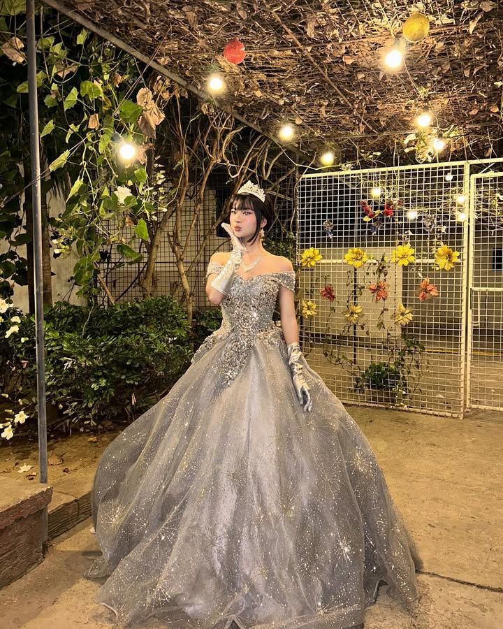 Dreamy Princess Silver-Gray Off-Shoulder Sequined Tulle Ball Gown Evening Dress Sweet 16 Dress