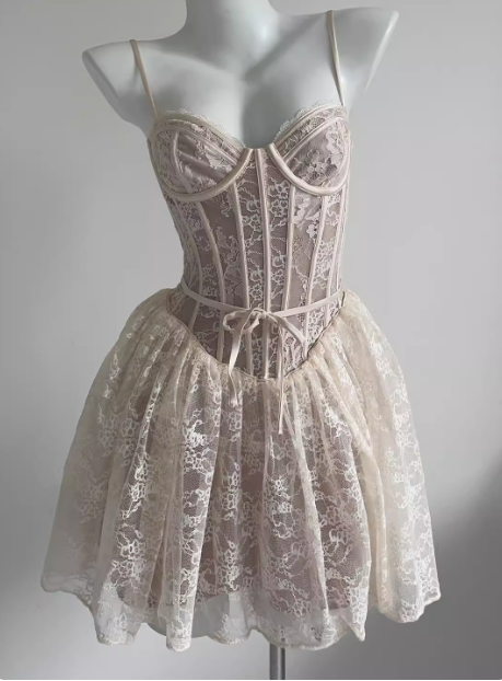 Sexy Lace Suspender Princess Dress Fishbone A-Line Birthday Dress Homecoming Dress - View 5 | FashionDia