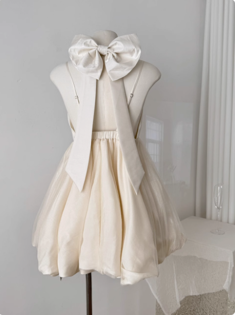 Princess Bowknot Halter Neck Sling Waist Net Tulle Puffy Birthday Party Dress Homecoming Dress - View 4 | FashionDia