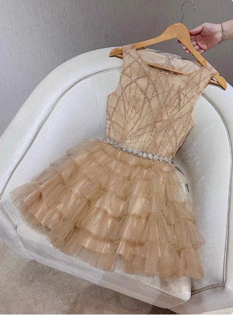 Elegant Round Neck Champagne Tulle Cake Birthday Short Skirt Homecoming Dress