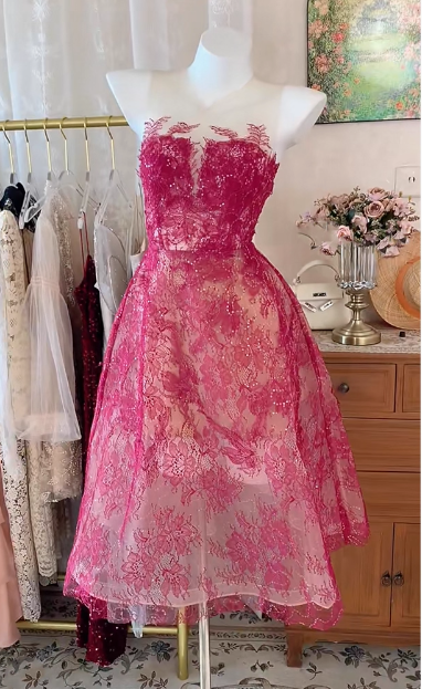 Vintage Palace Lace Embroidery Mesh Birthday Dress Homecoming Dress