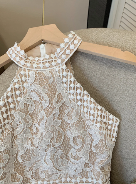 Elegant Sleeveless Halter Neck Lace Waist Hip Birthday Dress Homecoming Dress - View 5 | FashionDia