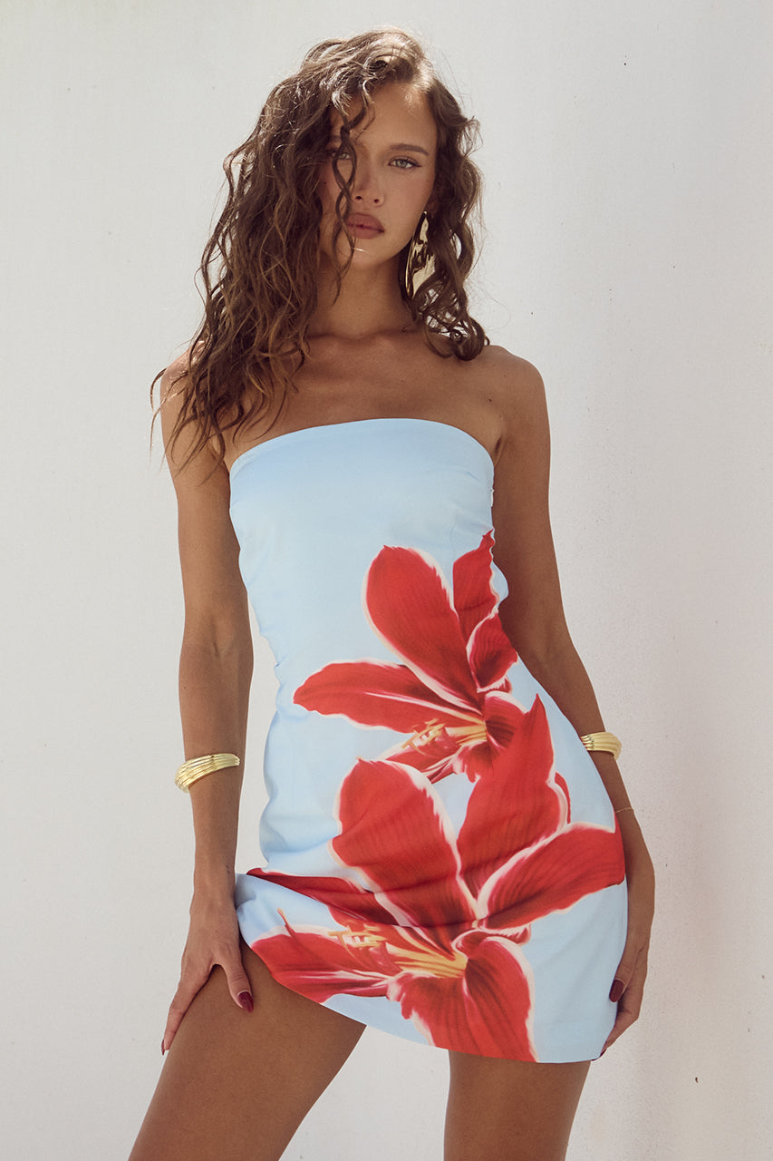 Clarisa Exclusive Mini Dress Evening Wear Edit