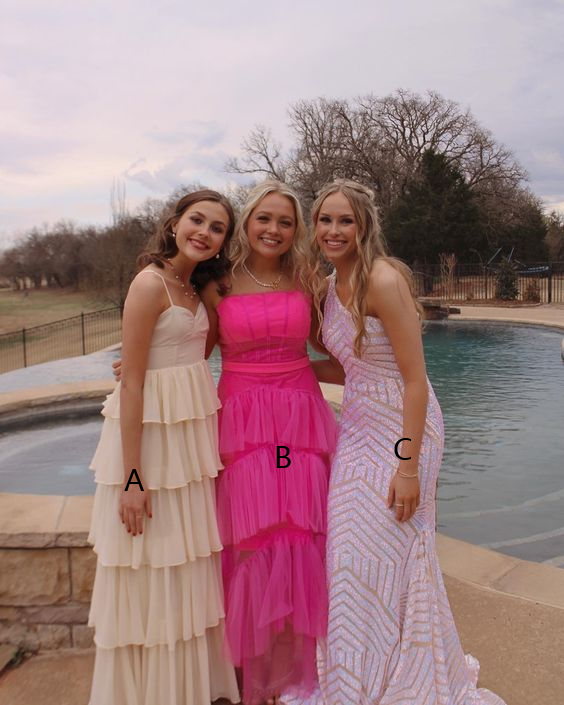 Elegant Party Dress Long Prom Dresses