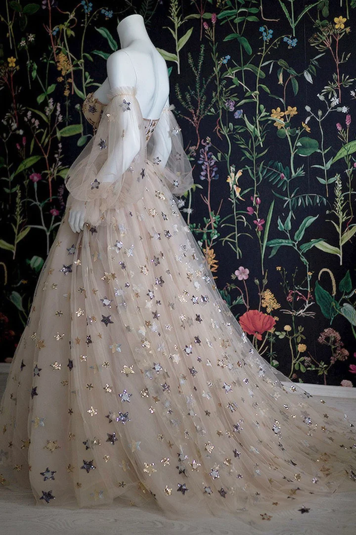Champagne Tulle Long Prom Dress, Off-the-Shoulder Evening Dress with Stars - View 3 | FashionDia