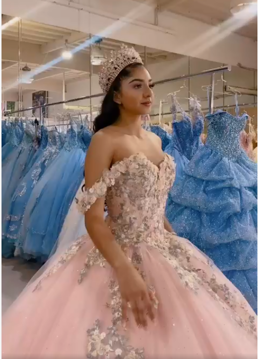 Beautiful with Floral Ball Gown Pink Sweet 16 Dress Princess Tulle Dress - FashionDia