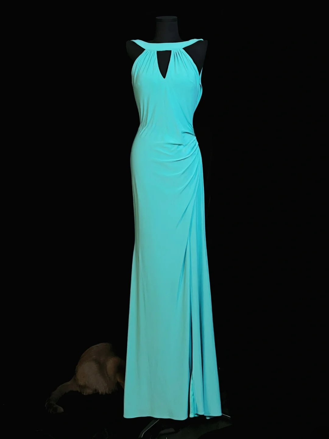 Sheath Formal Prom Dress Lace Back Evening Dress