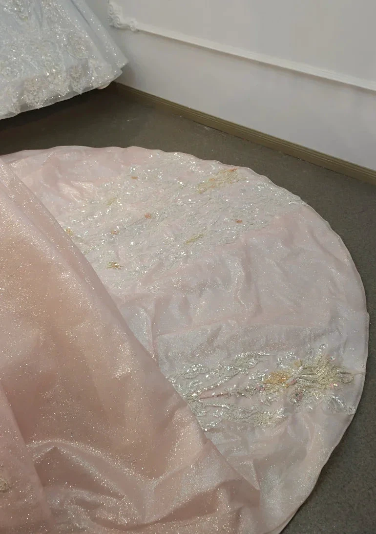 Lavish Blush Pink High-Neck Ball Gown Wedding Dress with Beaded Fringe & 3D Floral Embroidery Ye-2026 (ZD16807)