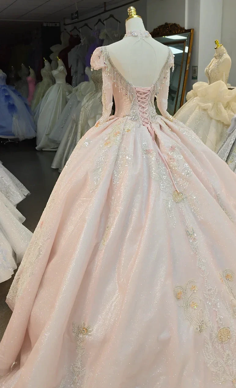 Lavish Blush Pink High-Neck Ball Gown Wedding Dress with Beaded Fringe & 3D Floral Embroidery Ye-2026 (ZD16807)