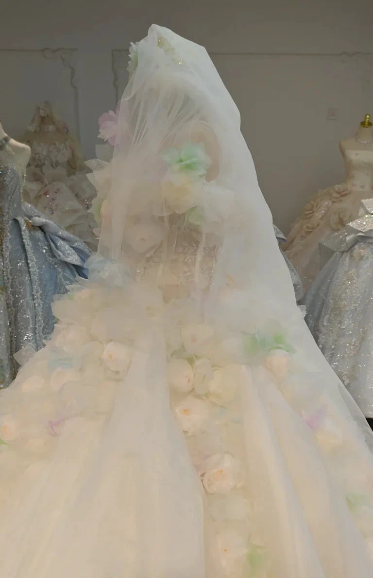 Whimsical Sweetheart Ball Gown Wedding Dress with 3D Pastel Florals & Sheer Tulle Train Ye-2039 (ZD16831)