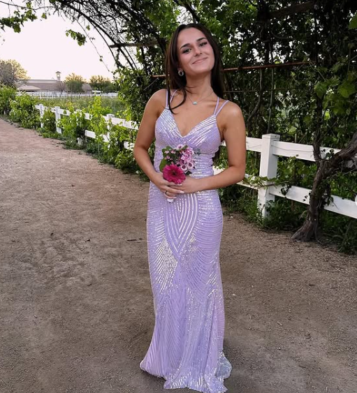 Luxury Lilac Spaghetti Straps Vneck Backless Evening Dress Mermaid Party Prom Dress