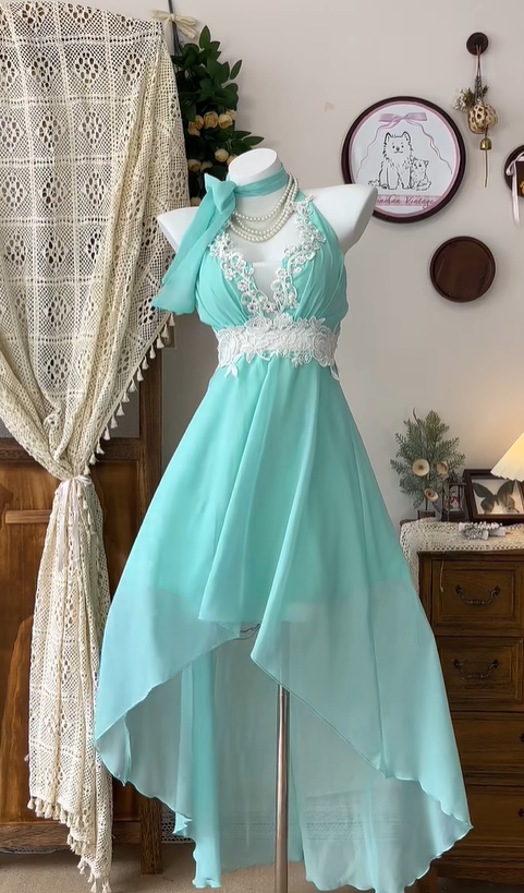 Vintage Hi-Low Chiffon Appliques Party Dress A Line Homecoming Dress