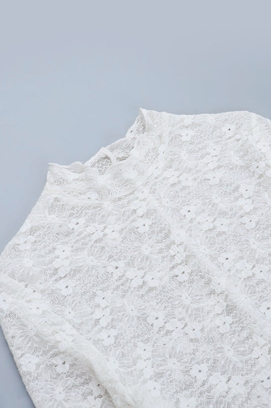 Sheer Lace Long Sleeve Birthday Dress