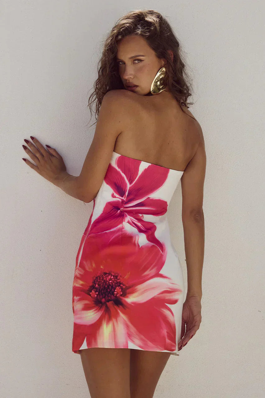 Clarisa Exclusive Mini Dress Evening Wear Edit