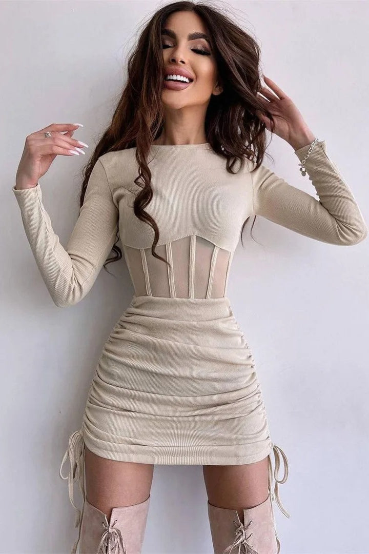 Sheer Mesh Bodycon Mini Dress - FashionDia