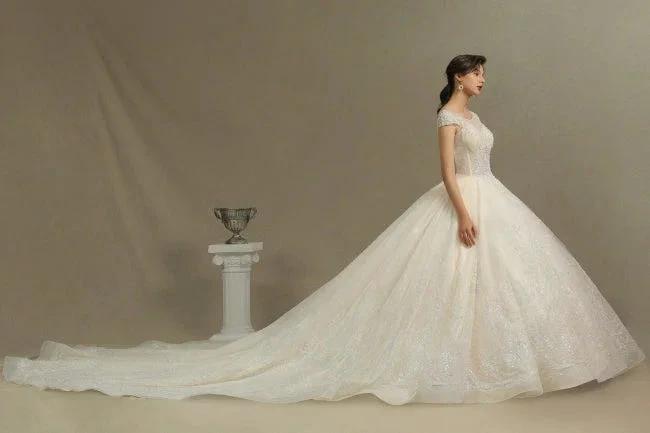 Designer Wedding Dresses | Wedding dresses maternity wear (ZD13787)