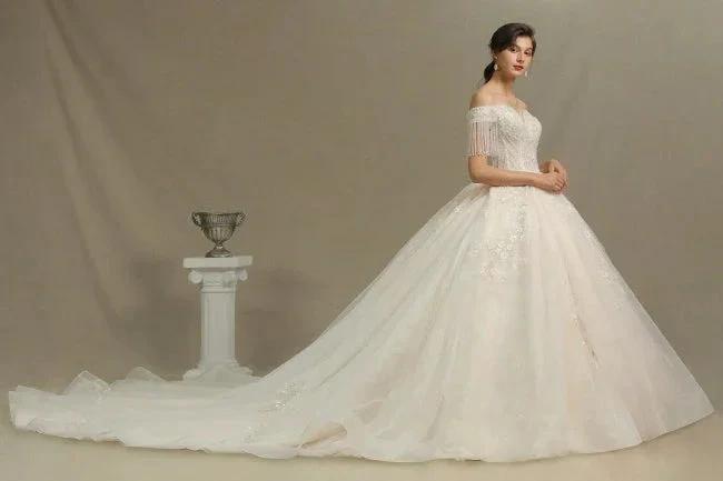 Elegant A-line wedding dresses | Wedding dresses with sleeves (ZD13778)