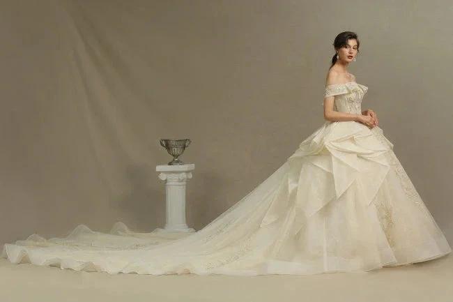 Elegant wedding dresses princess | Wedding dresses with lace (ZD13781)